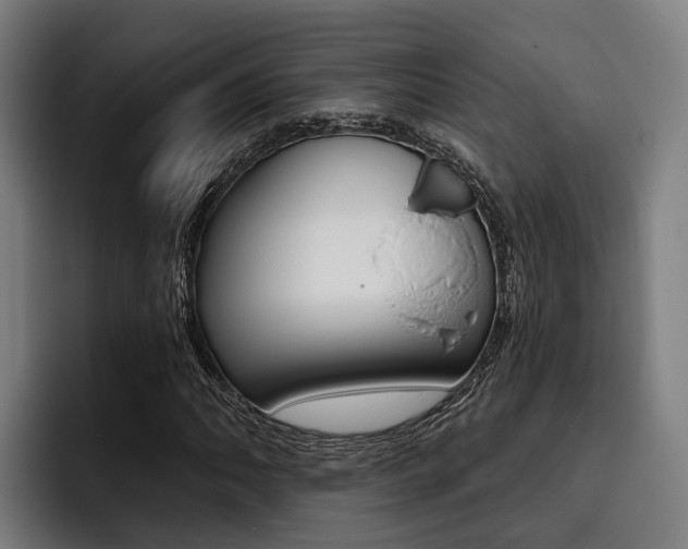 X0000093481062200710120950