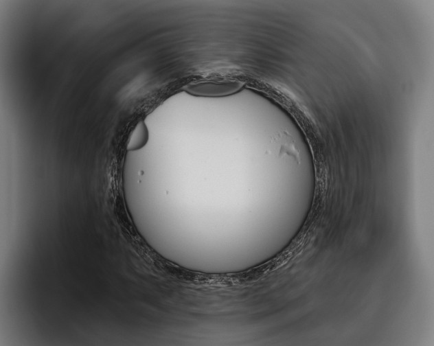 X0000093481063200710120950