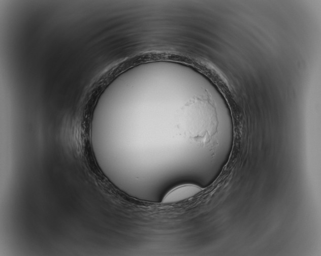 X0000093481064200710120950