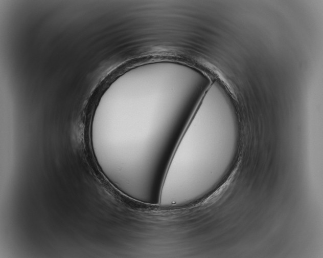 X0000093481066200710120950