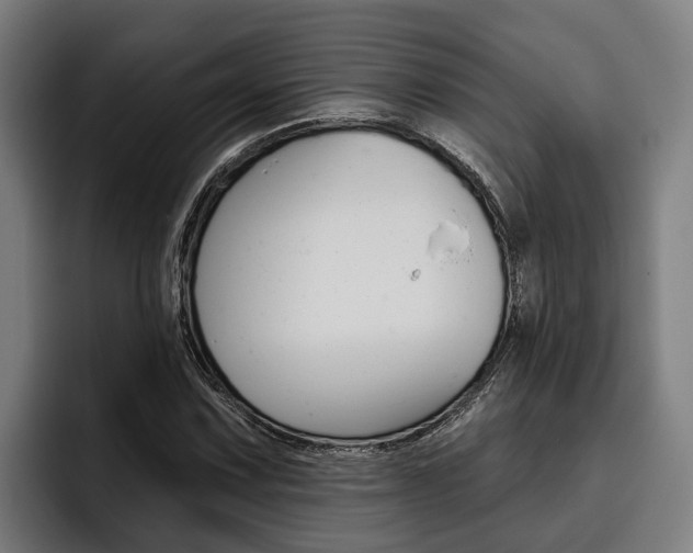 X0000093481067200710120950