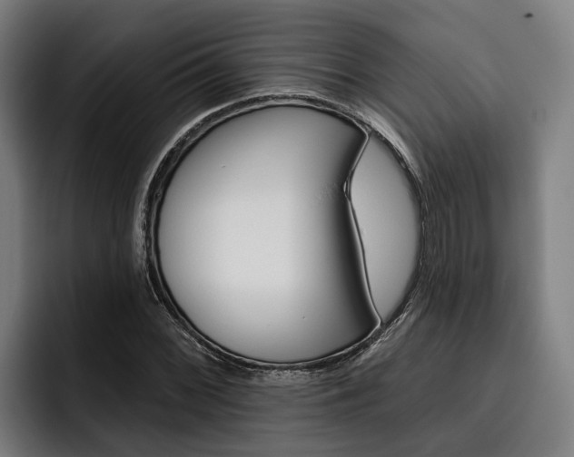 X0000093481068200710120950