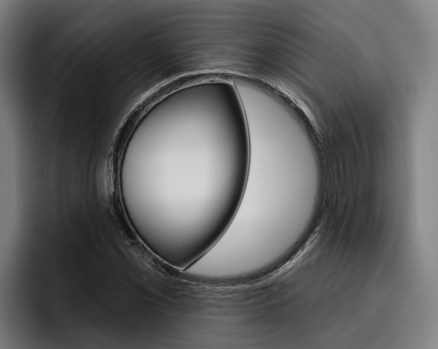 X0000093481069200710120950