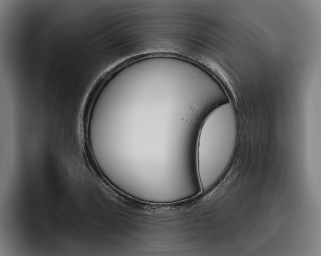 X0000093481072200710120950