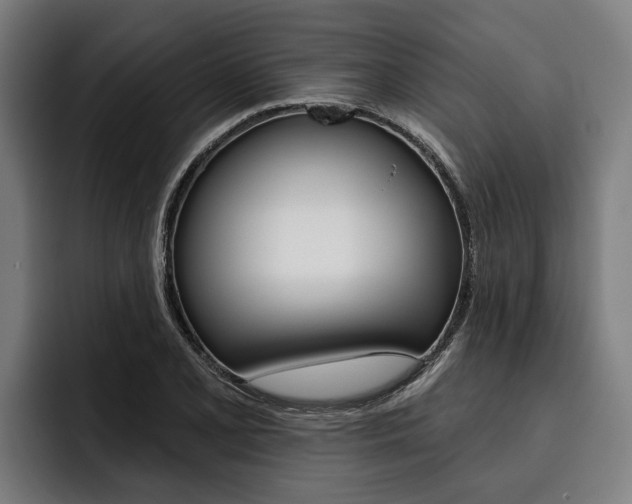 X0000093481077200710120950