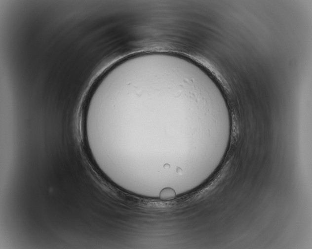 X0000093481078200710120950