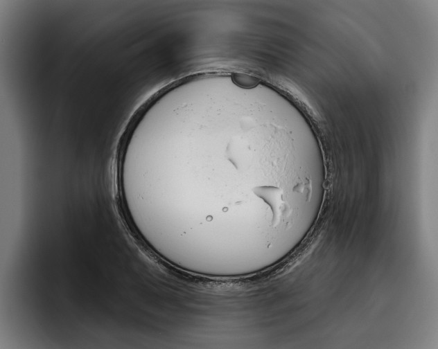 X0000093481079200710120950