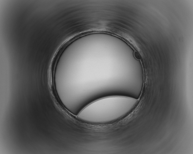 X0000093481080200710120950