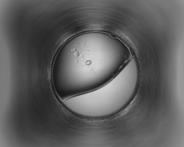 X0000093481081200710120950