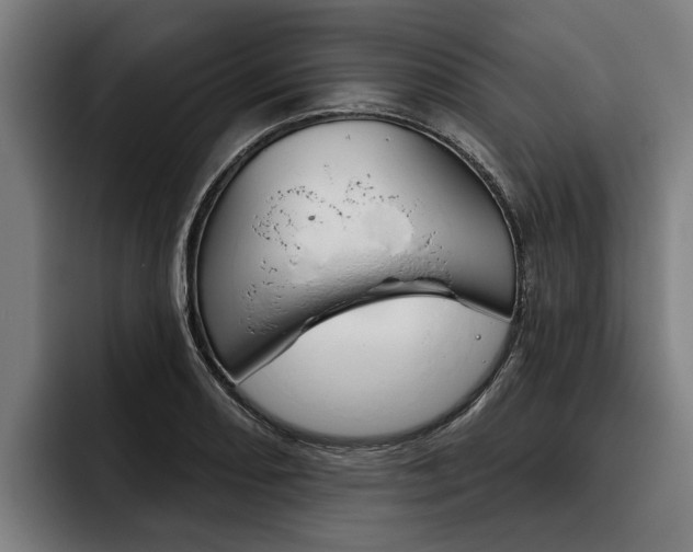 X0000093481082200710120950