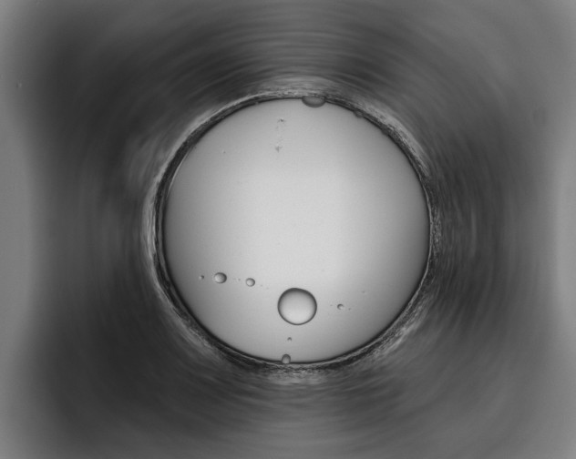 X0000093481083200710120950
