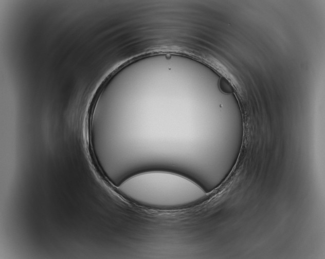 X0000093481084200710120950