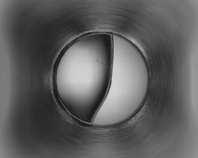 X0000093481085200710120950