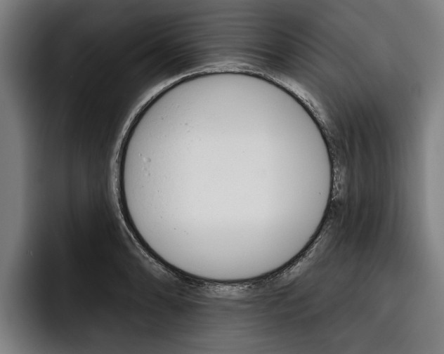 X0000093481086200710120950