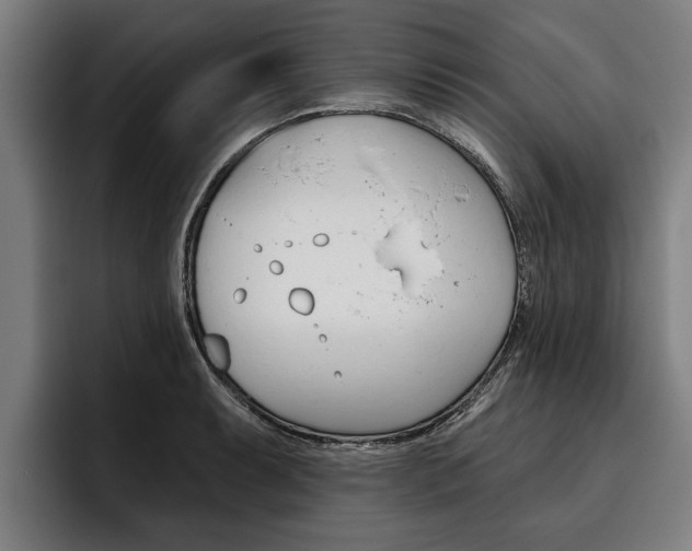 X0000093481087200710120950