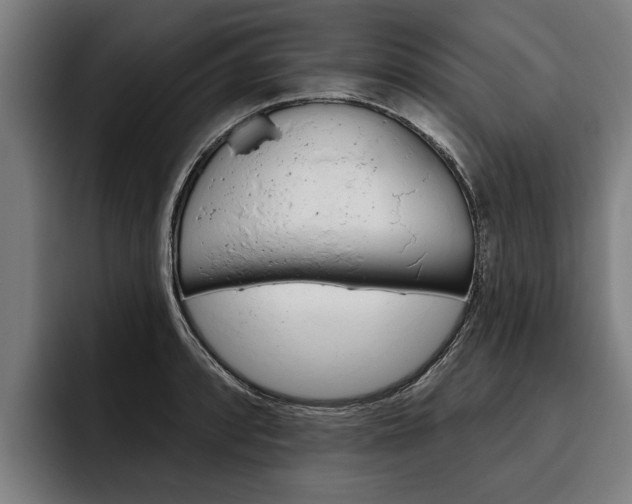 X0000093481088200710120950