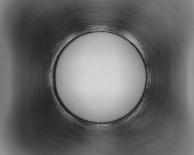 X0000093481090200710120950