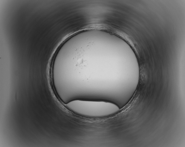 X0000093481091200710120950