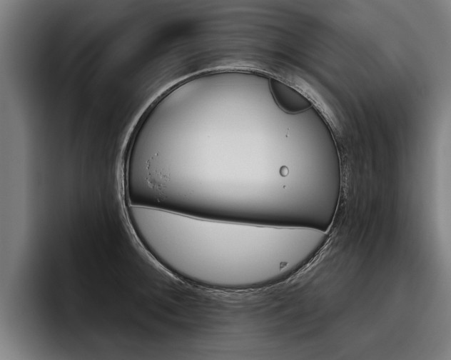 X0000093481092200710120950
