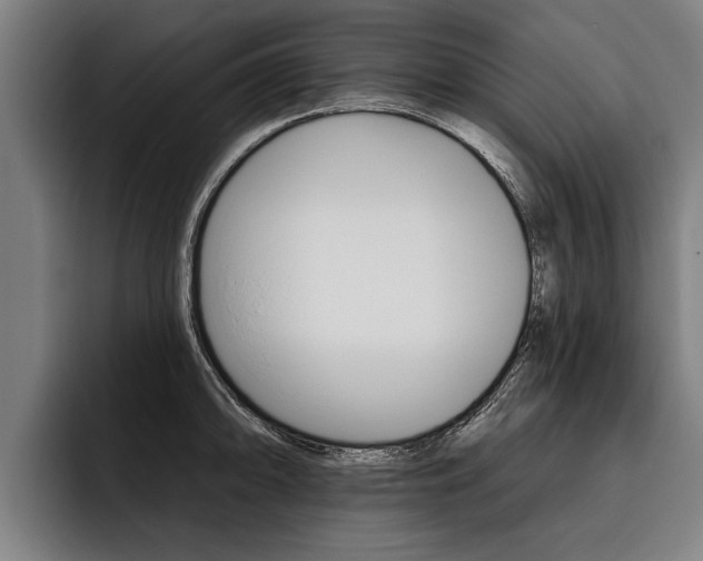 X0000093481094200710120950