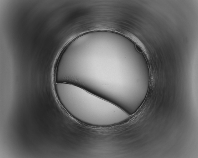 X0000093481096200710120950