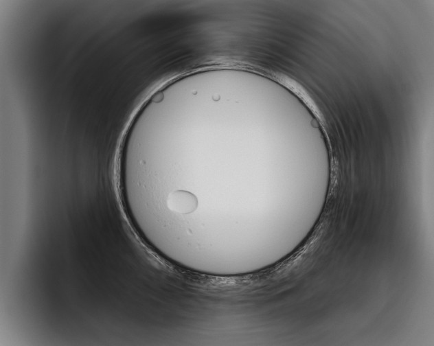 X0000093481098200710120950