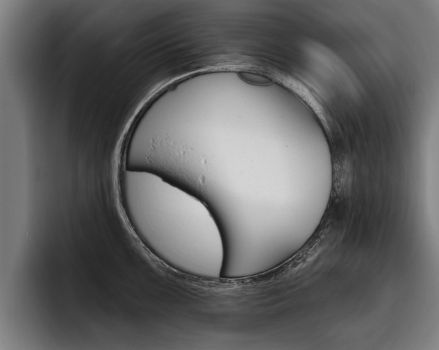X0000093481099200710120950