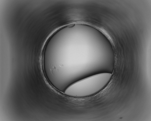X0000093481100200710120950