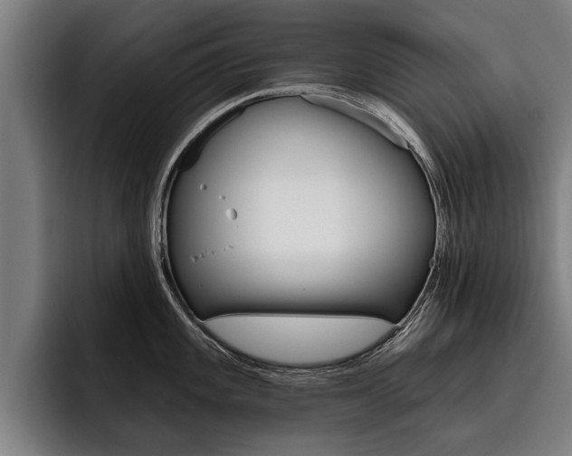 X0000093481101200710120950