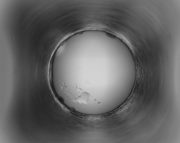 X0000093481103200710120950
