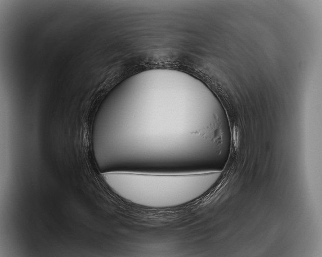 X0000093481107200710120949