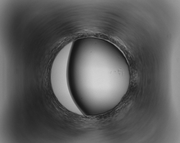 X0000093481110200710120949