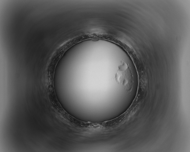 X0000093481112200710120949