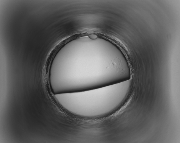 X0000093481117200710120949