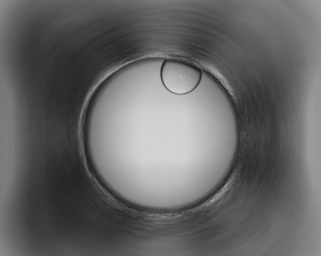 X0000093481122200710120949