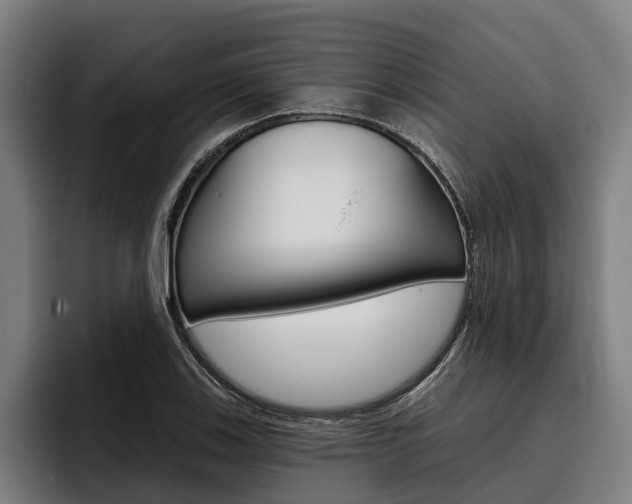 X0000093481123200710120949