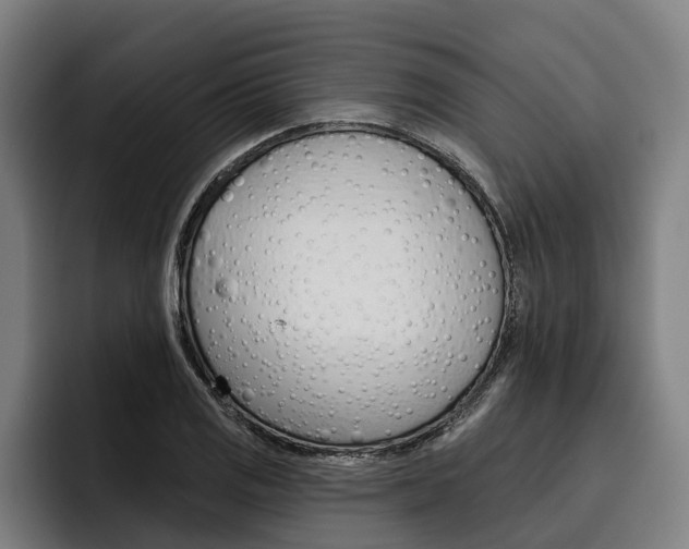 X0000093481125200710120949