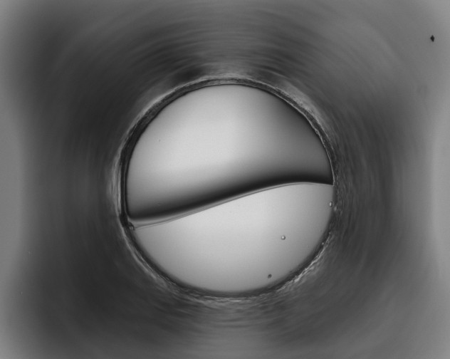 X0000093481127200710120949