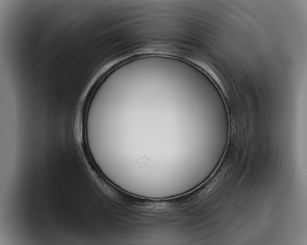 X0000093481131200710120950