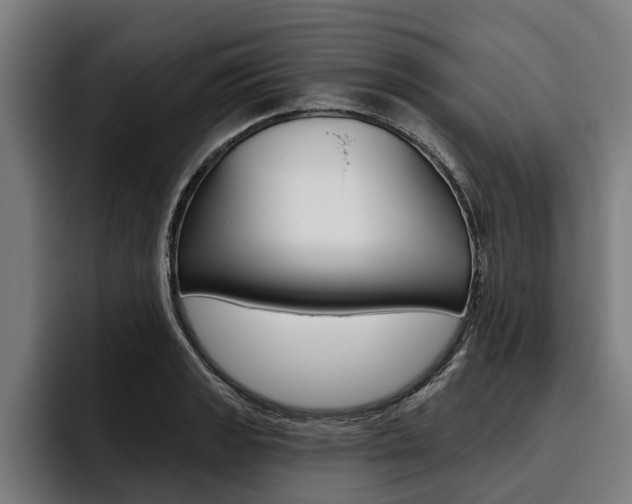 X0000093481133200710120950