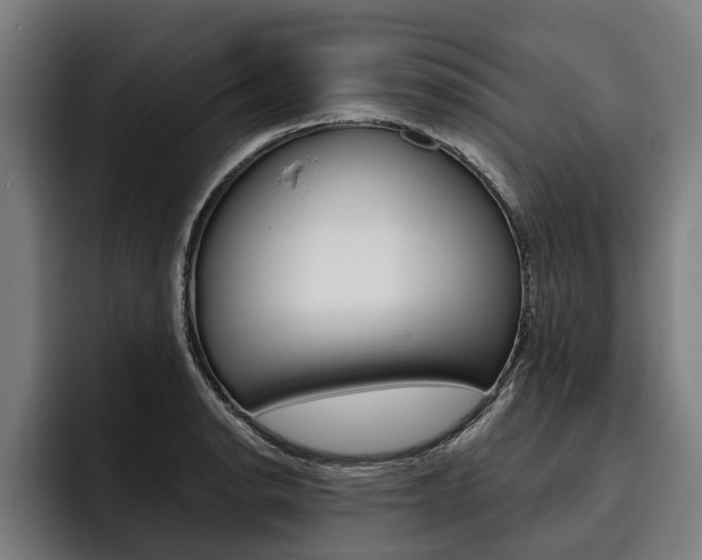 X0000093481134200710120950