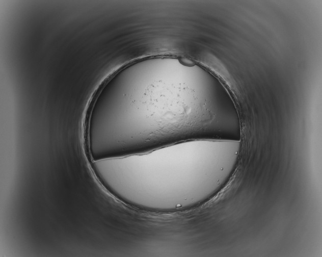 X0000093481135200710120950