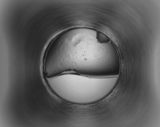 X0000093481136200710120950