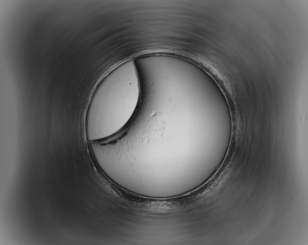 X0000093481137200710120950