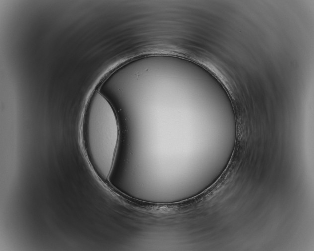 X0000093481139200710120950