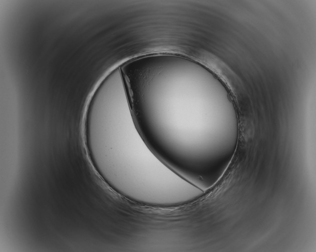 X0000093481140200710120950