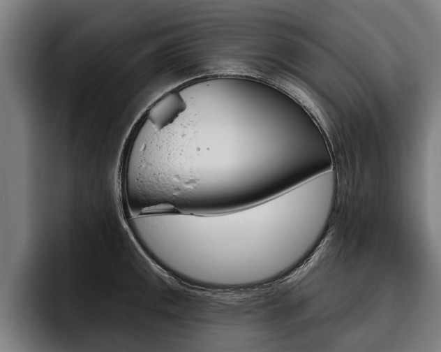 X0000093481141200710120950