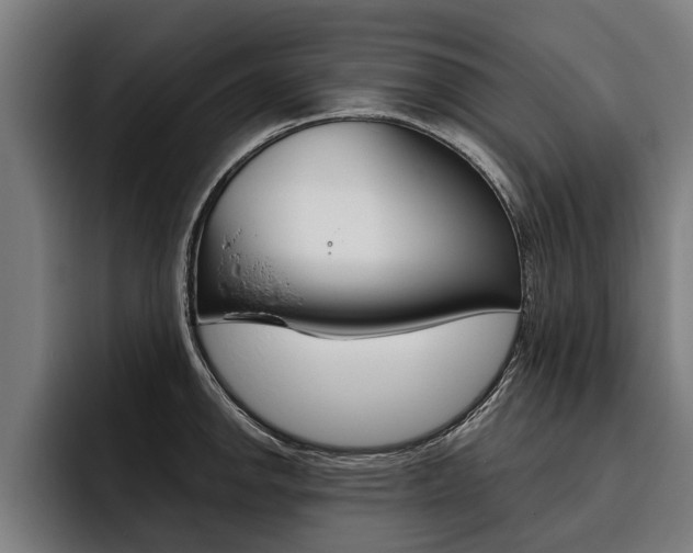 X0000093481142200710120950