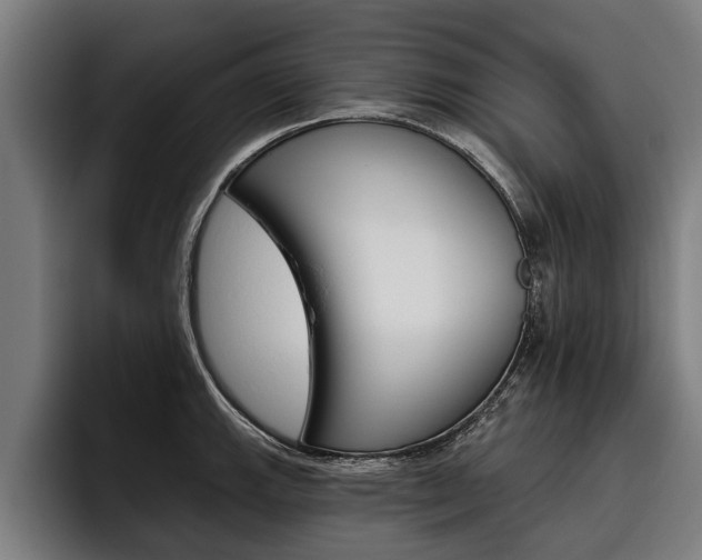 X0000093481143200710120950