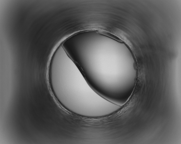 X0000093481144200710120950